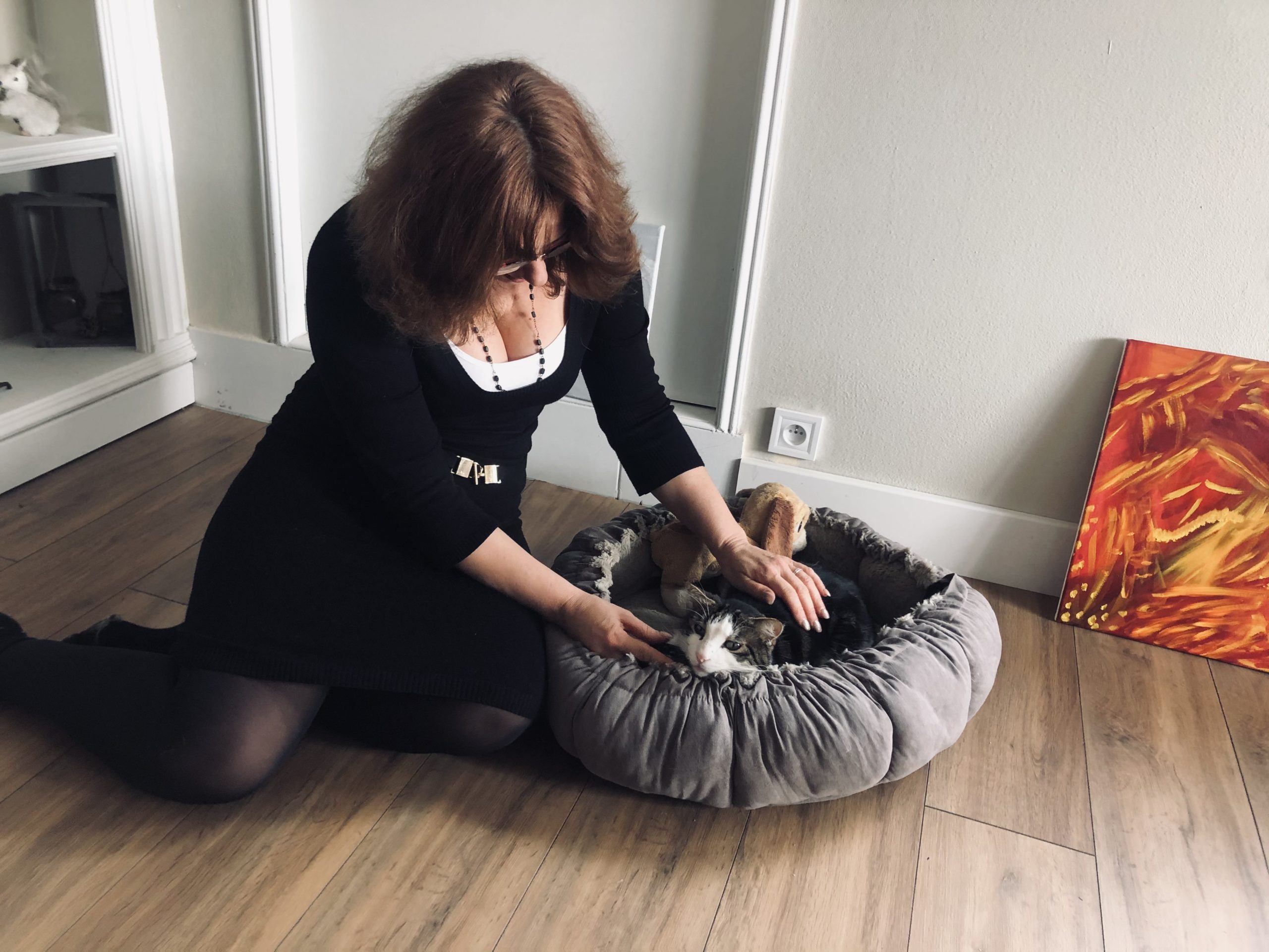 Protéger son animal de cie-propriete LVDBE non libre de droit 1
