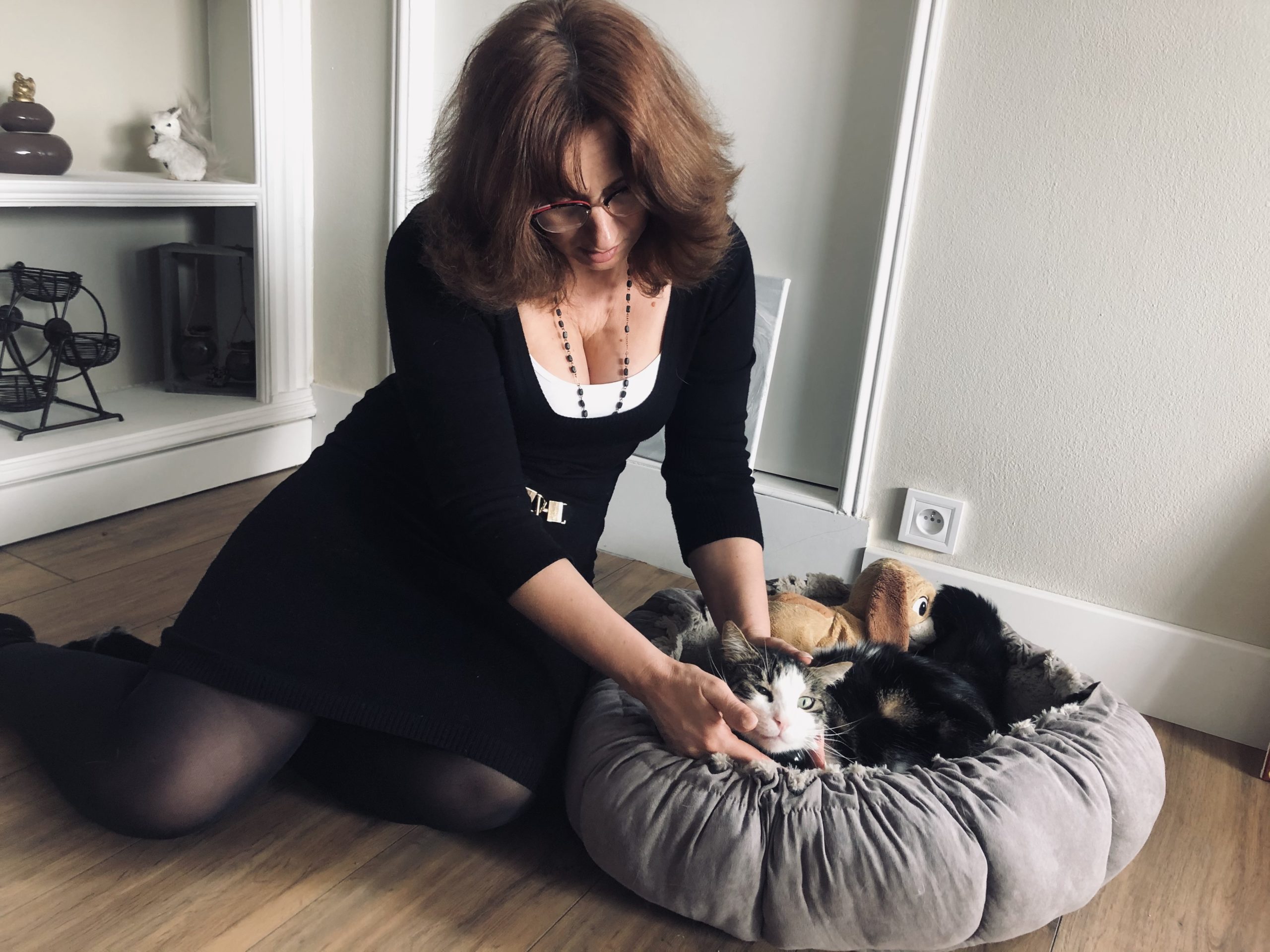 Protéger son animal de cie-propriete non llibre de droit 2