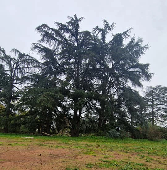 Une prière pour l'Humanité