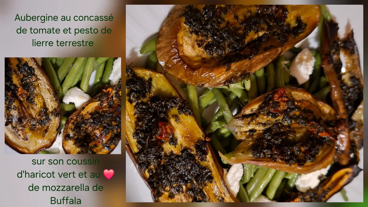 Aubergine au concassée de tomate et pesto de lierre terrestre
