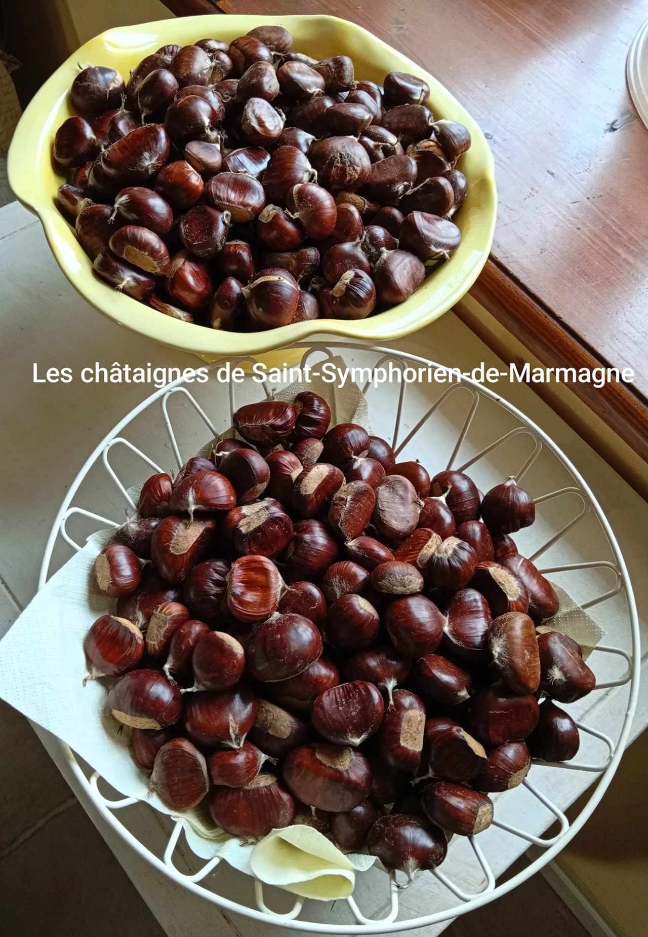 Les châtaignes de Saint Symphorien de Marmagne