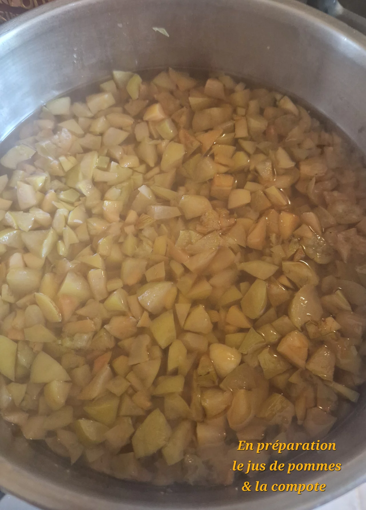 Préparation jus de pommes et compotes
