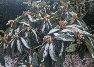 Jardin naturel les voiles du bien être