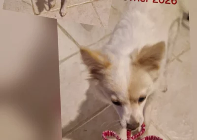 Atika & sa fleur d'Ämour pour ses 7 mois