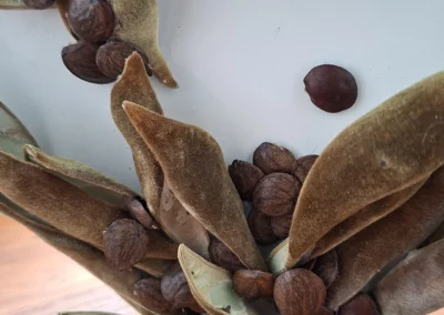 Bas étagère d'angle décoration