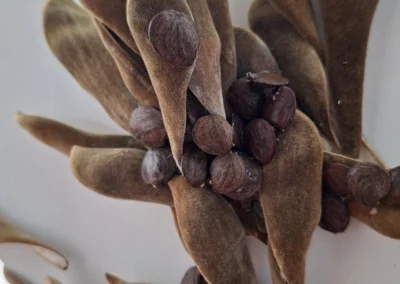 Décoration étagère d'angle