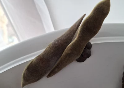 Etagère d'angle zoom