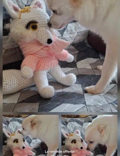 La renarde offerte par josette, avec l'écharpe rose perlée que j'ai faite.