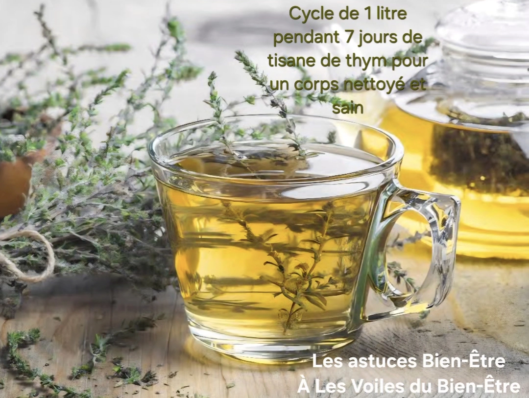 Tisane de Thym