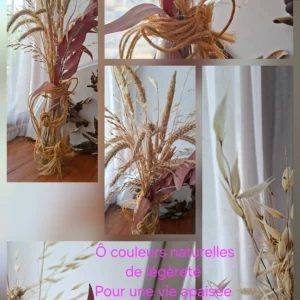 L'eucalypsien rose de saint léger